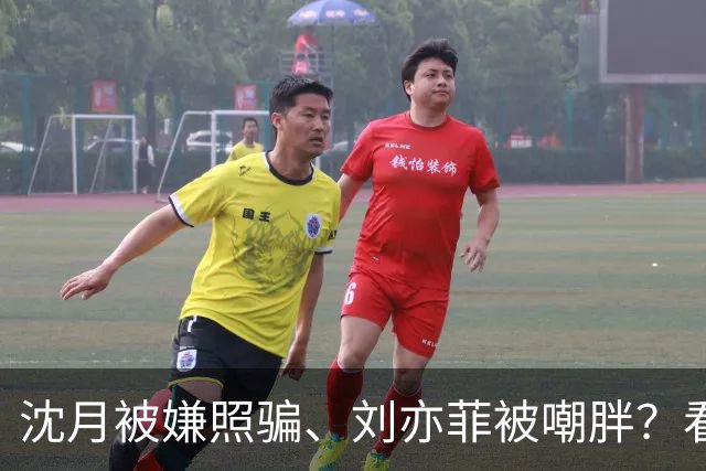 沈月被嫌照骗、刘亦菲被嘲胖？看了陈小纭近况，才知她们有多难得