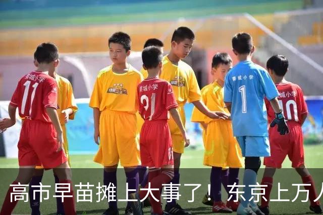 高市早苗摊上大事了！东京上万人喊她下台，日本民众要换新首相！